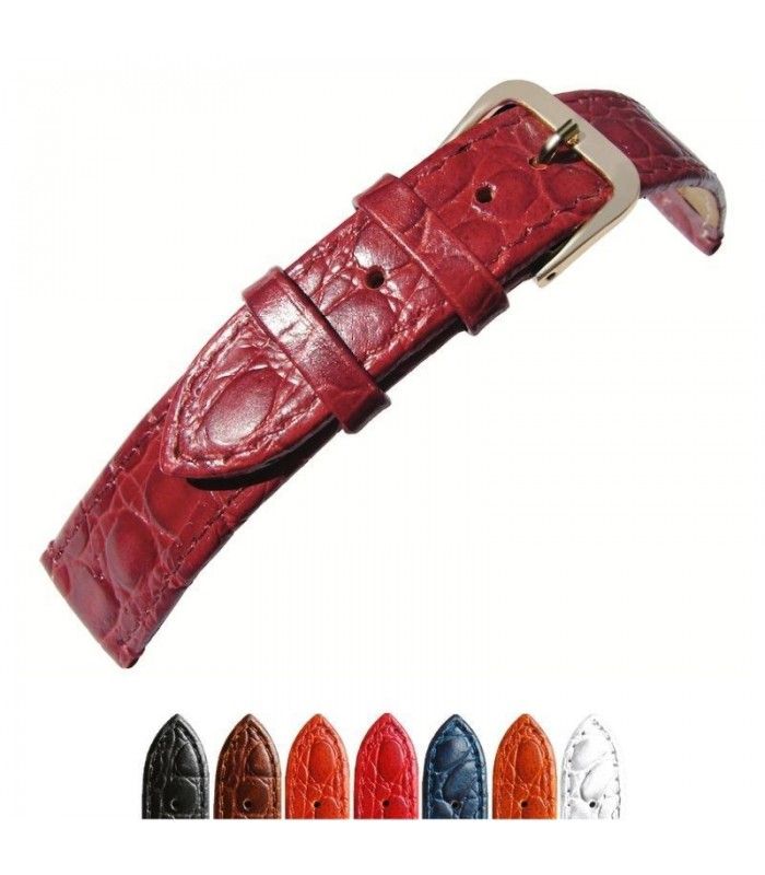 Correas de reloj de piel Diloy P209